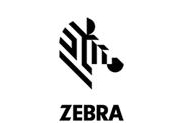斑(ban)馬 Zebra